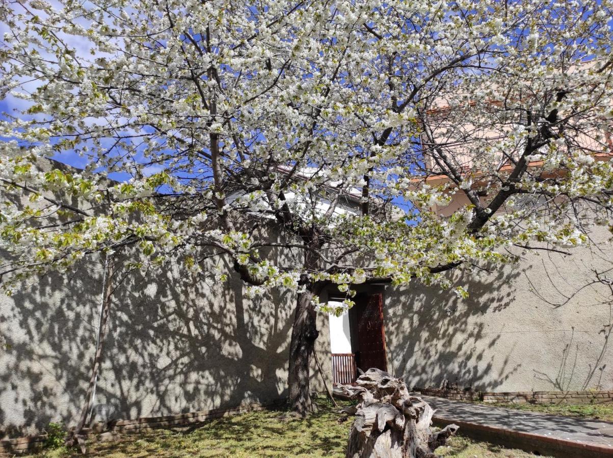 Antica Dimora Palazzo Rovitti Bed & Breakfast Cerchiara di Calabria Exterior photo